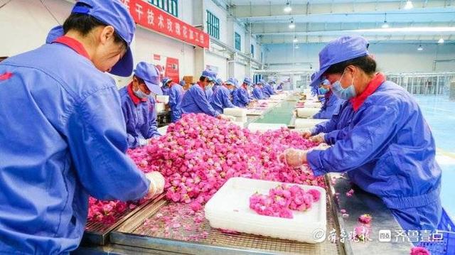 既貌美如花又赚钱养家的下一句该如何应对(既要貌美如花又要赚钱养家)