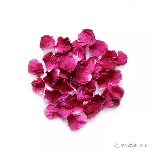 平阴玫瑰甲天下玫瑰制品亦非凡