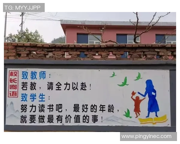 深圳篮球队的成长之路：一段激情与奋斗交织的纪实故事