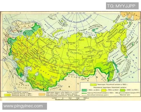深入分析上海网球队的进攻战术与策略演变之路