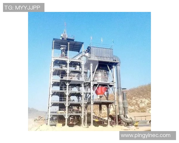 西安羽毛球队包夹战术解析及其在比赛中的应用与优势探讨 西安羽毛球队包夹战术解析及其在比赛中的应用与优势探讨