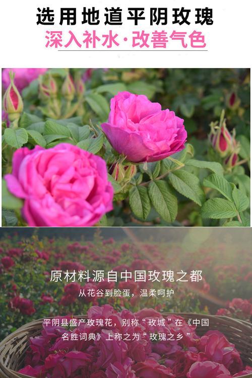 玖玫玫瑰旗舰店(微信公众号认证)专注各种玫瑰制品的销售与研发